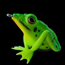 Realistic Frog