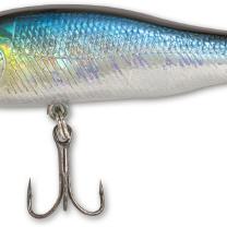 Gitec Zander
