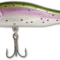Gitec Zander