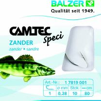 Zander, Silber