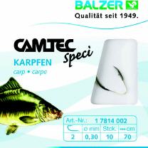 Karpfen, schwarz