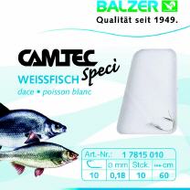 Weißfisch, Silber, 0,60m