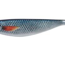 Ocean Shad Hering