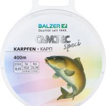 Karpfen, braun