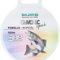 Forelle, klar